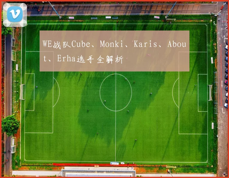 WE战队Cube、Monki、Karis、About、Erha选手全解析