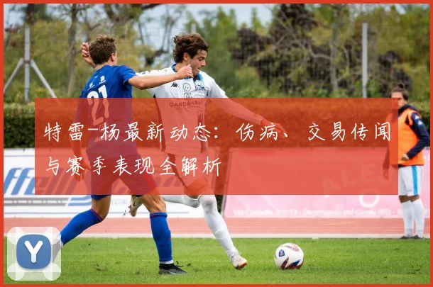 特雷-杨最新动态:伤病、交易传闻与赛季表现全解析